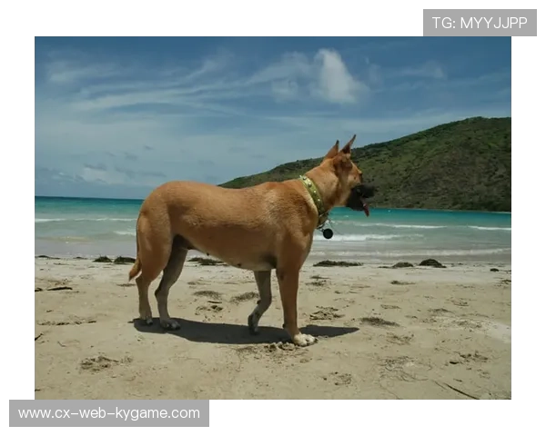 圣基茨和尼维斯骑行活动影响深远，圣基茨和尼维斯治安怎么样